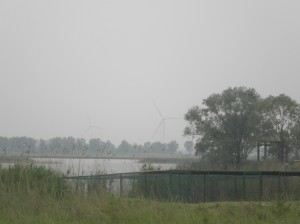 Wild Duck Lake National Park, at Yanqing County, Beijing. Although it is hard to see in the background, there are wind turbines here in China, just scattered in certain areas. 