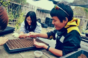 University of Shimane students helping to propagate native plants at the Watershed Institute at California State University, Monterey Bay