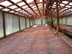 Cacao Drying Deck 