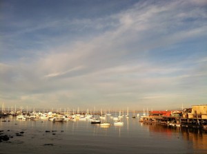 cropped-Monterey-Harbor.jpg