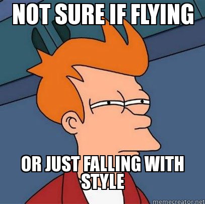 NOT-SURE-IF-FLYING-OR-JUST-FALLING-WITH-STYLE1.jpg