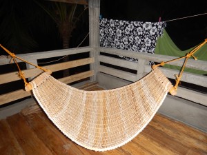 My native hammock on the terrace