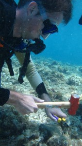 Hammering concrete nails to plant coral fragments
