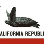 The California State flag with the State marine reptile