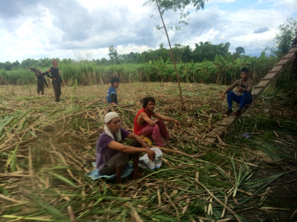 Young men take a break from harvesting sugar cane (Photo by Lauren Turich)