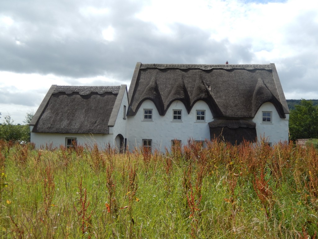 Thatched Roofs