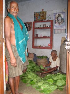 Resident of Gobindpur sorting betel leaves. The Betel leaf economy accommodates workers of all ages while such older workers would have no space in POSCO's steel plant. Photo by Anu Mandavilli
