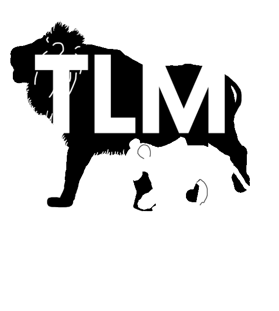 TLM Mentorship Program